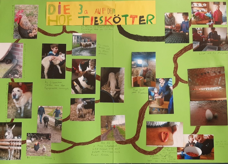 Die 3a auf dem Hof Tieskötter